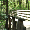 Nature Trail Bridge