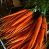Carrots