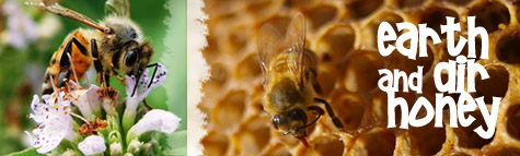 Honey and Bees