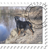 Lab on Stamp
