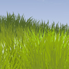 Vector Grass