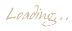 Interface is loading...